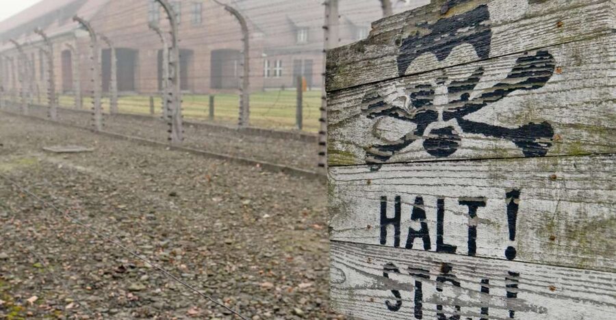 From Wrocław: Full-Day Auschwitz-Birkenau Guided Tour - Key points to know before booking