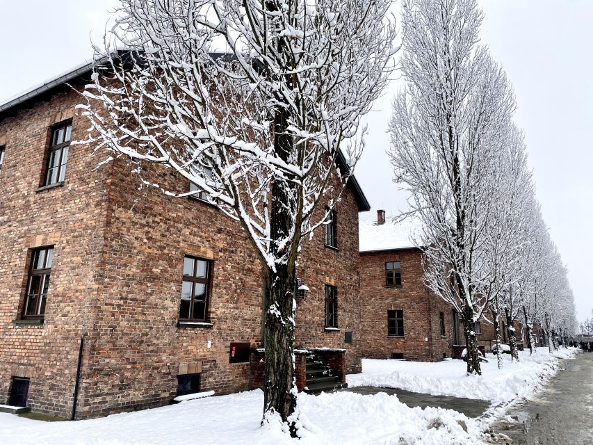 From Wrocław: Full-Day Auschwitz-Birkenau Guided Tour - Birkenau: scale, distance, and silence