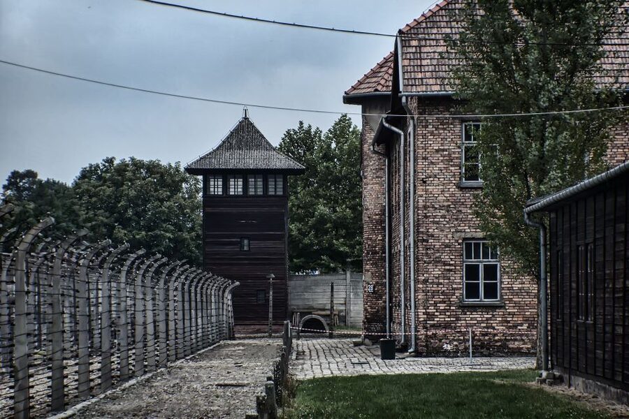 From Wrocław: Full-Day Auschwitz-Birkenau Guided Tour - What the guide and driver each do