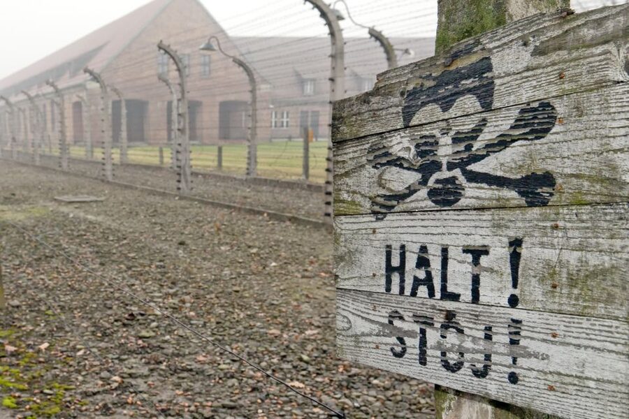 From Wrocław: Full-Day Auschwitz-Birkenau Guided Tour - The $261 price: what you are paying for