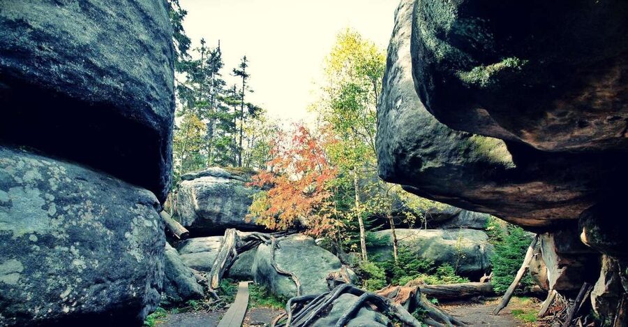 From Wroclaw: Full-Day Stolowe Mountains Trekking Tour - The Karlow ascent and the rocky city at the summit