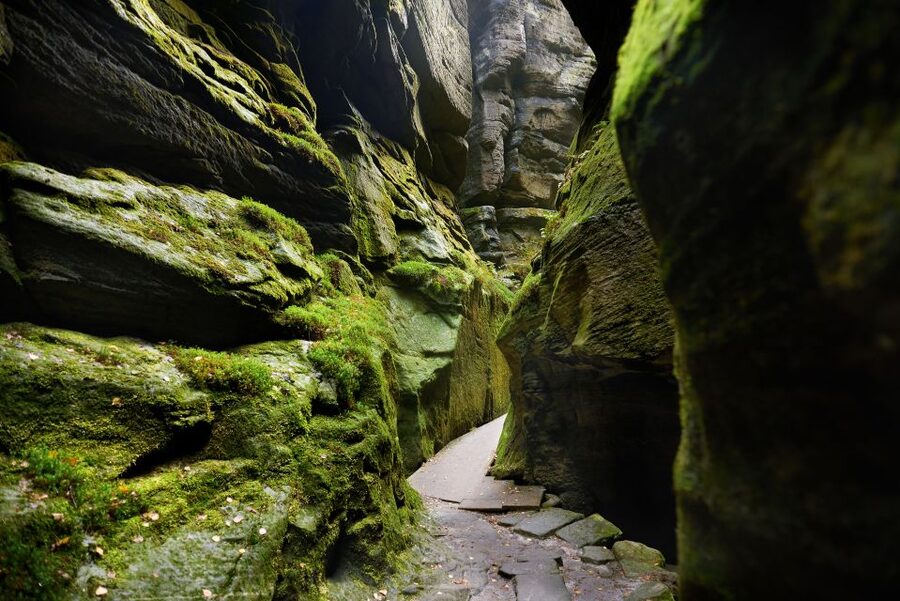 From Wroclaw: Hiking Trail in Rock City Adrspach - Crossing from Poland into Czechia