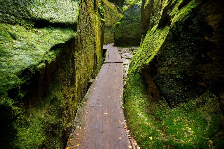 From Wroclaw: Hiking Trail in Rock City Adrspach - Rock towers, named shapes, and narrow passages