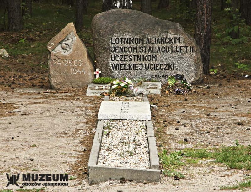 From Wrocław: Stalag Luft 3 Great Escape Tour - Is $214 good value?