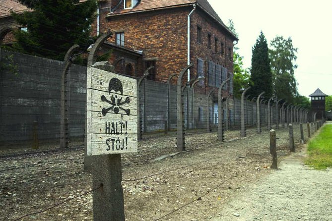Full-Day Tour of Auschwitz and Wieliczka Salt Mine from Krakow - Auschwitz-Birkenau: a respectful three-hour visit