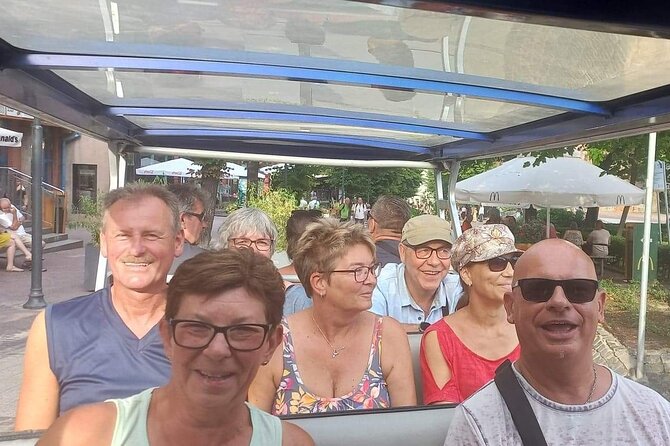 Gdańsk: City Sightseeing Tour by Buggy/Golf Cart LIVE GUIDED 1H - The waterfront, Crane, and grand churches