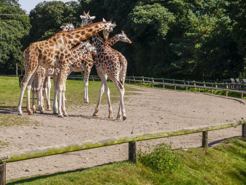 Gdansk: Oliwa Zoo with Tickets and Roundtrip Transportation - Why Oliwa Zoo works as a Gdansk day break