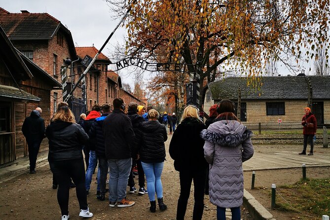 Guided Tour from Krakow to Auschwitz Birkenau with hotel pick up - Group size, headsets, and the guide’s role