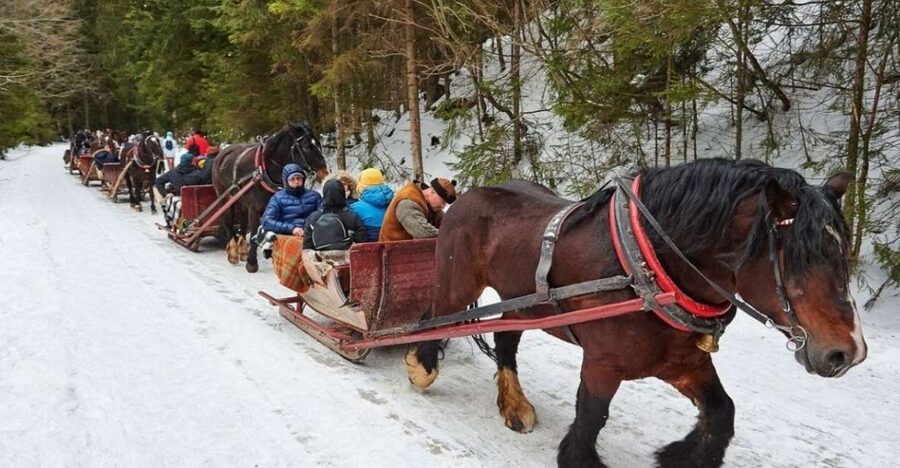 Horse Sleigh 2-3h Ride with Hot Springs or Zakopane Combos - Key points to know before booking