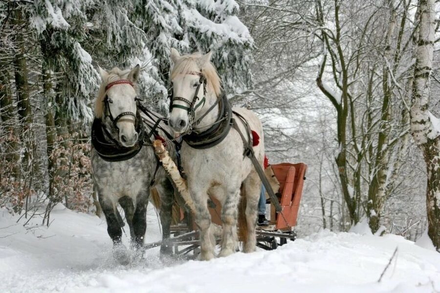 Horse Sleigh 2-3h Ride with Hot Springs or Zakopane Combos - The 2 to 3 hour sleigh ride through snowy mountains