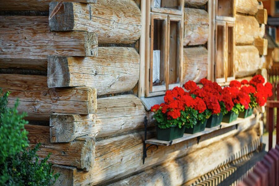 Horse Sleigh 2-3h Ride with Hot Springs or Zakopane Combos - Transport, timing, and practical preparation