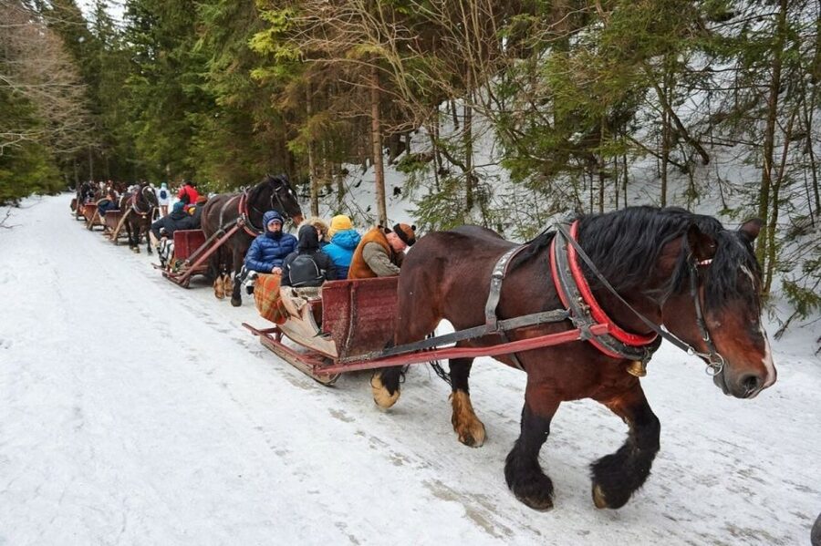 Horse Sleigh 2-3h Ride with Hot Springs or Zakopane Combos - Chocholow, wooden houses, and highlander traditions