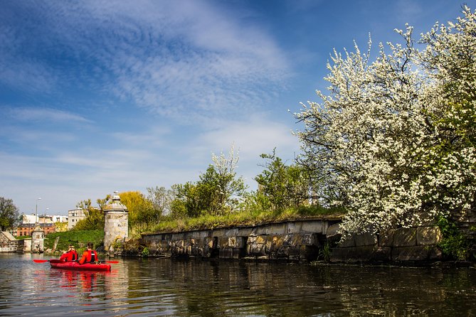 Islands of Gdansk Private Kayak Tour - What the private format adds
