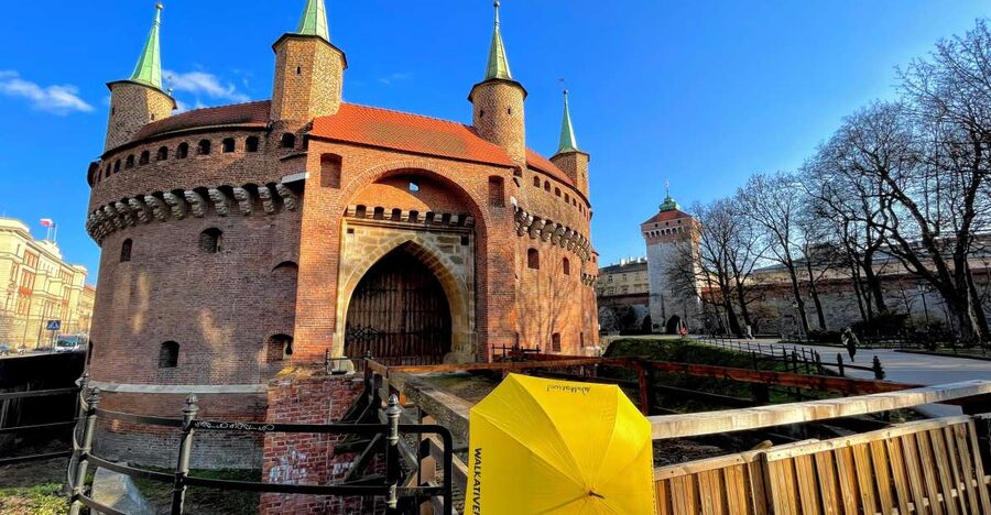 Krakauer old town tour - Collegium Maius and Krakow’s scholarly past