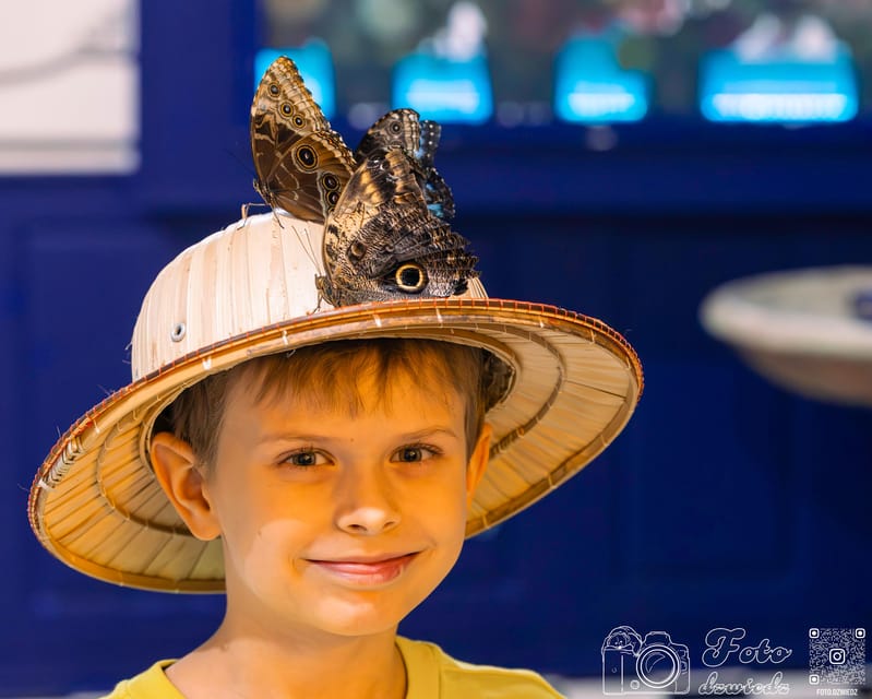 Krakow: 4 Mazes and Living Butterfly Museum Entry Ticket - Crawling through the Laser Maze