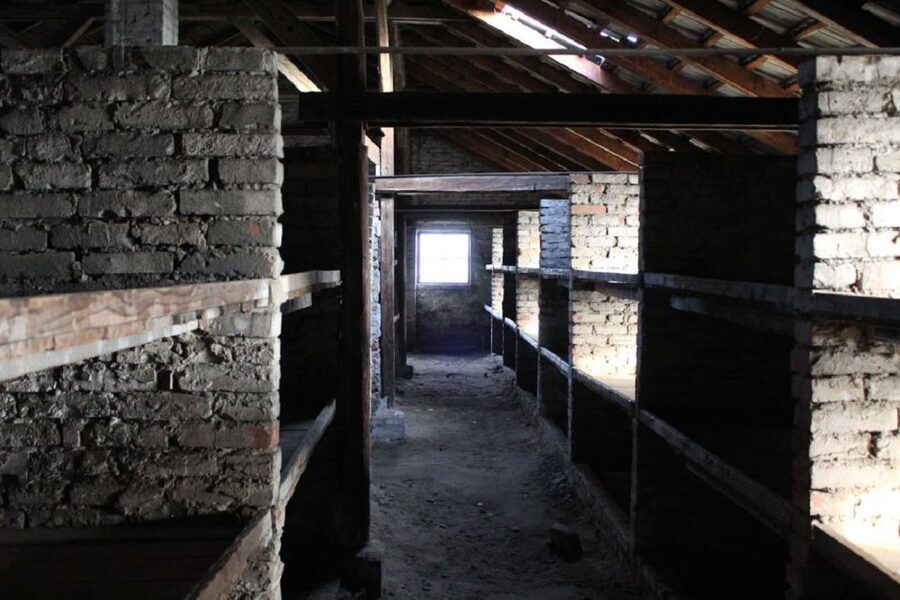 Krakow and Auschwitz Small-Group Tour from Warsaw with Lunch - Practical advice before you reserve