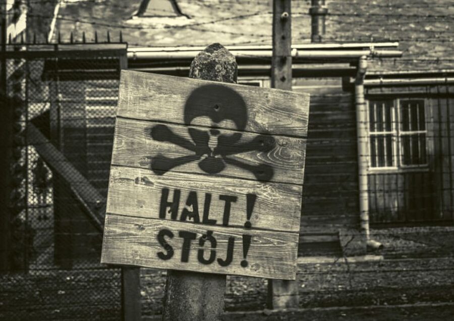 Krakow and Auschwitz Small-Group Tour from Warsaw with Lunch - Who will get the most from this tour?