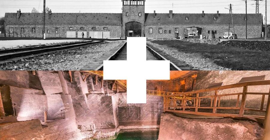 Krakow: Auschwitz-Birkenau and Salt Mine Guided Tour - Who will get the most from this tour