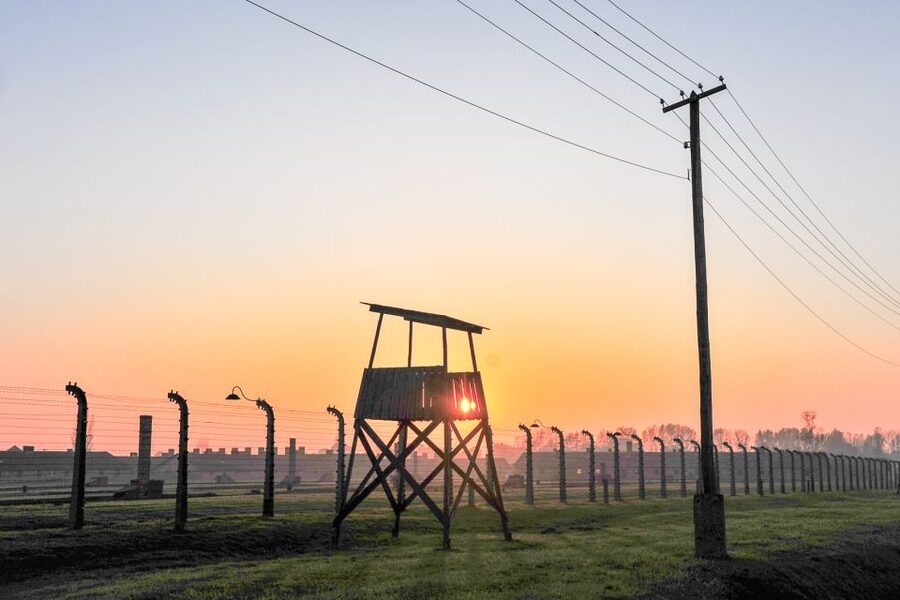 Krakow: Auschwitz-Birkenau and Salt Mine Guided Tour - Birkenau: open space, distance, and weather