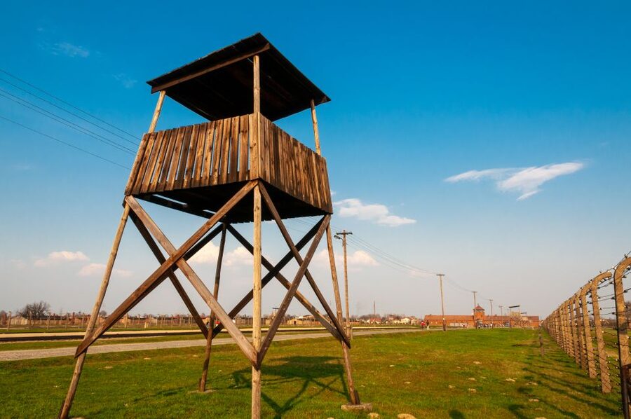 Krakow: Auschwitz-Birkenau and Wieliczka Salt Mine Day Trip - Who will enjoy this day most?
