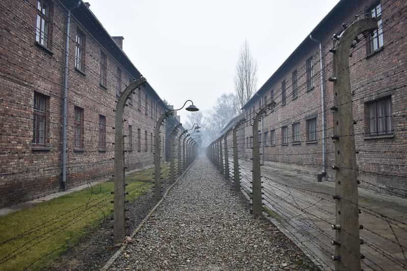 Krakow: Auschwitz-Birkenau Day Trip with Tour Leader - Why this Krakow day trip matters
