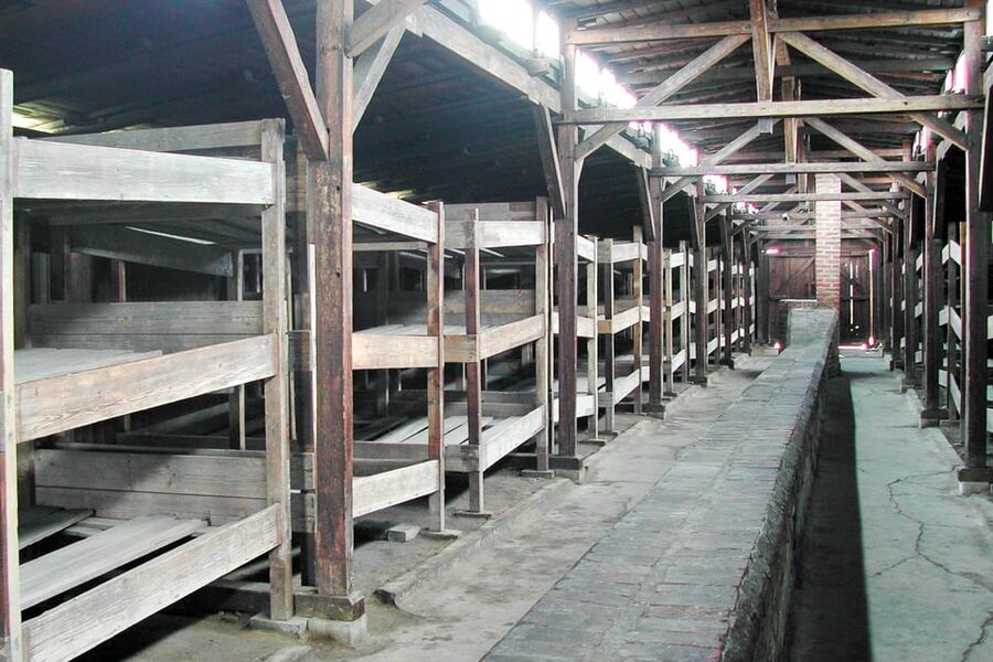 Krakow: Auschwitz-Birkenau Day Trip with Tour Leader - Auschwitz I: barracks, exhibitions, and limited time