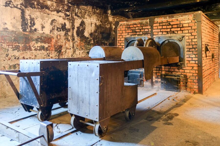 Krakow: Auschwitz-Birkenau Day Trip with Tour Leader - The transfer to Birkenau