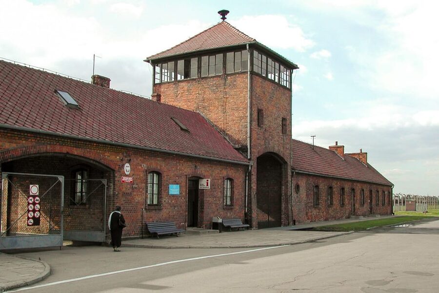 Krakow: Auschwitz-Birkenau Day Trip with Tour Leader - The self-guided system: freedom with a few limits