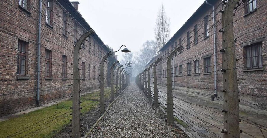 Krakow: Auschwitz-Birkenau Day Trip with Tour Leader - Is $37 good value?