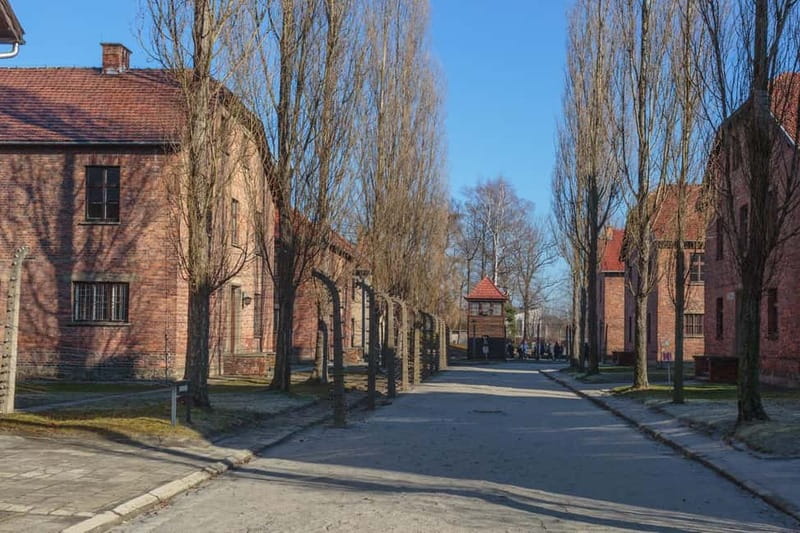 Krakow: Auschwitz-Birkenau Entry Ticket and Transfer - Why Auschwitz-Birkenau requires a full day from Krakow