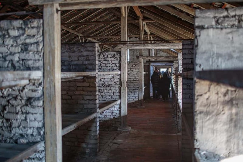 Krakow: Auschwitz-Birkenau Entry Ticket and Transfer - Is the $117 price fair?