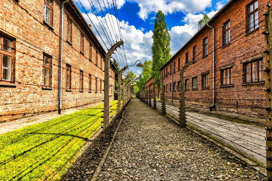 Krakow: Auschwitz-Birkenau Guided Tour and Private Transport - Returning to Krakow after a serious day