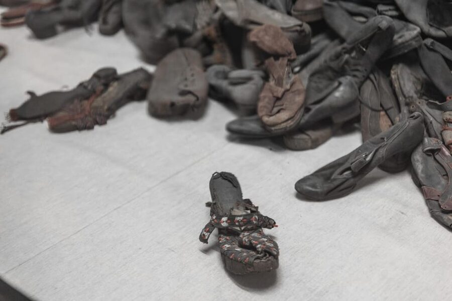 Krakow: Auschwitz-Birkenau Guided Tour and Private Transport - Is $387 per person good value?