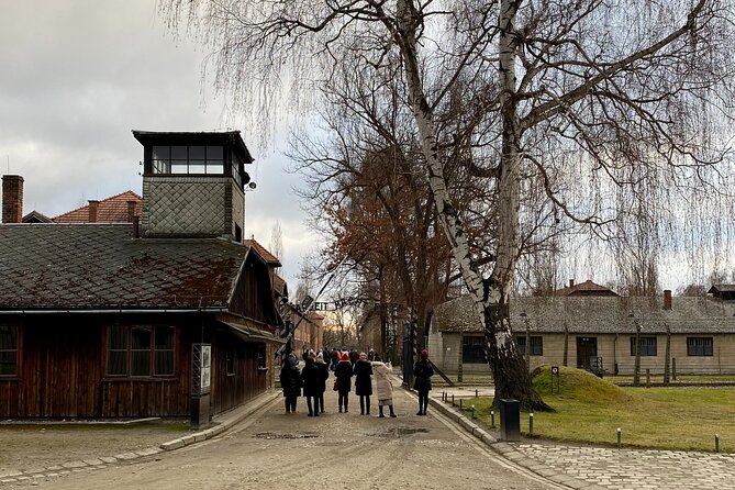 Krakow: Auschwitz-Birkenau Guided Tour & Hotel Pick Up - Why Auschwitz-Birkenau requires a full day from Krakow