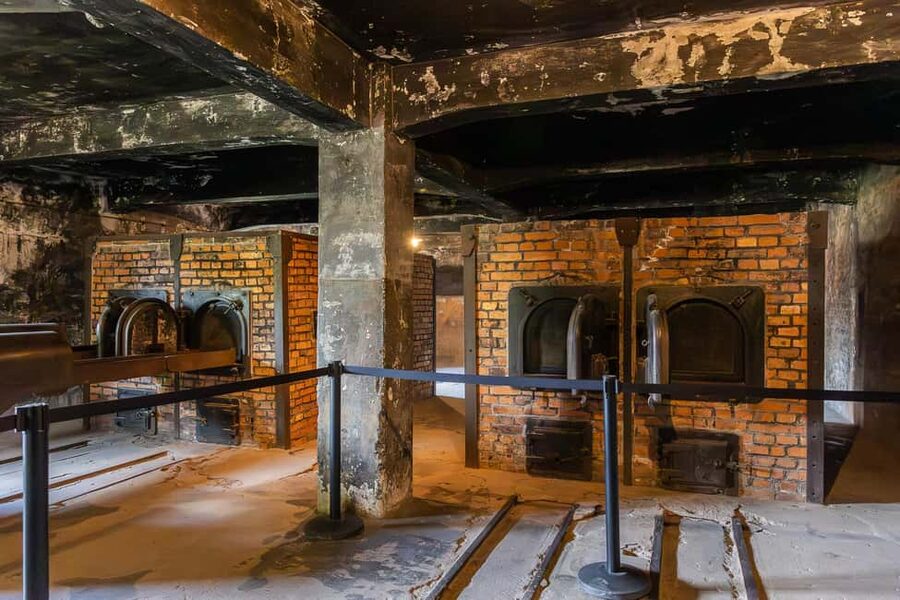 Krakow: Auschwitz-Birkenau Guided Tour with Transportation - The guide makes the difference