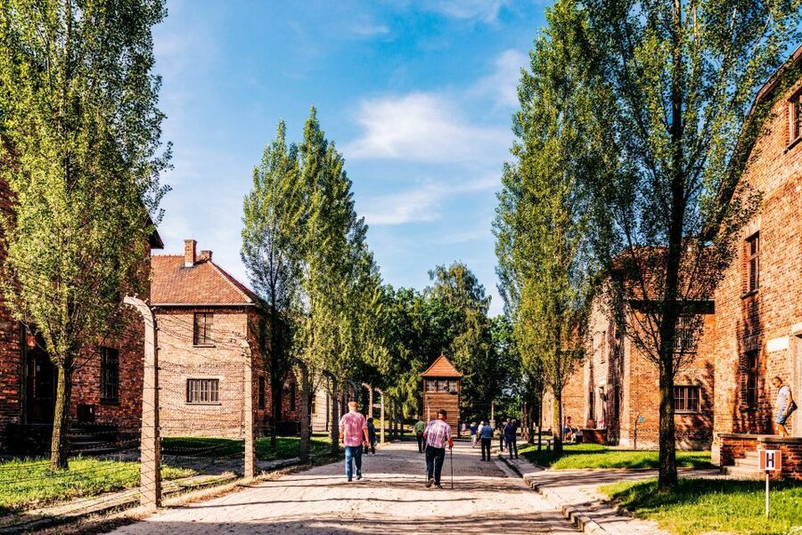 Krakow: Auschwitz-Birkenau Live Guided Tour & Hotel Pickup - Transport, timing, and the real value of $22