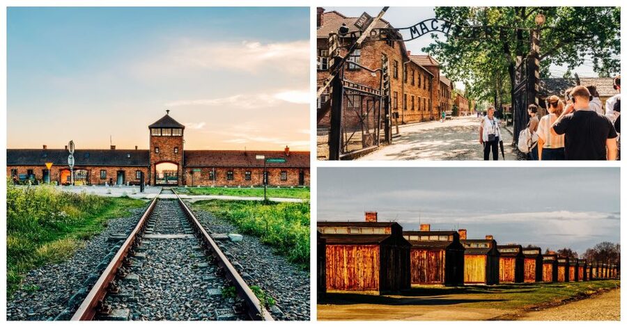 Krakow: Auschwitz-Birkenau Live Guided Tour & Hotel Pickup - Who should choose this tour
