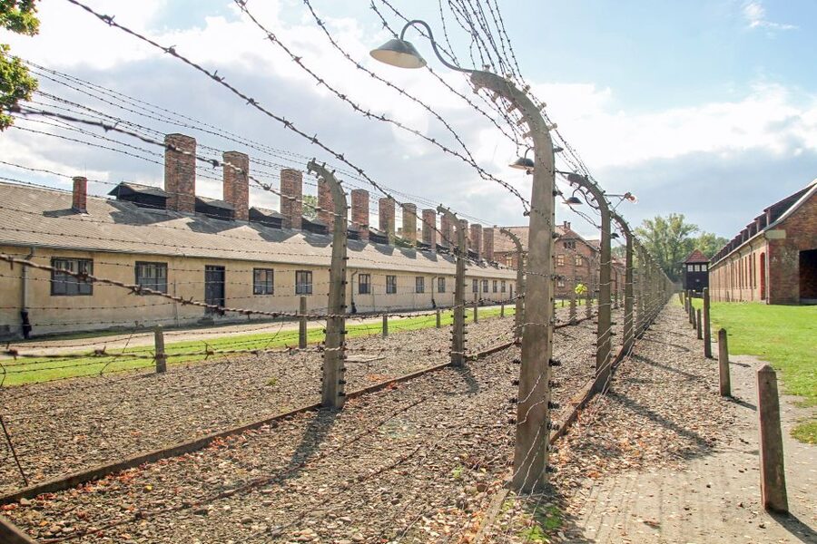 Krakow: Auschwitz Birkenau Museum Guided Tour with Pickup - Key points to know before booking