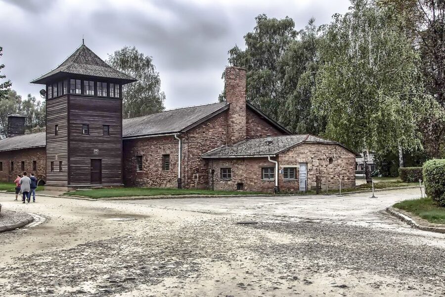 Krakow: Auschwitz Birkenau Museum Guided Tour with Pickup - Who should choose this Krakow tour