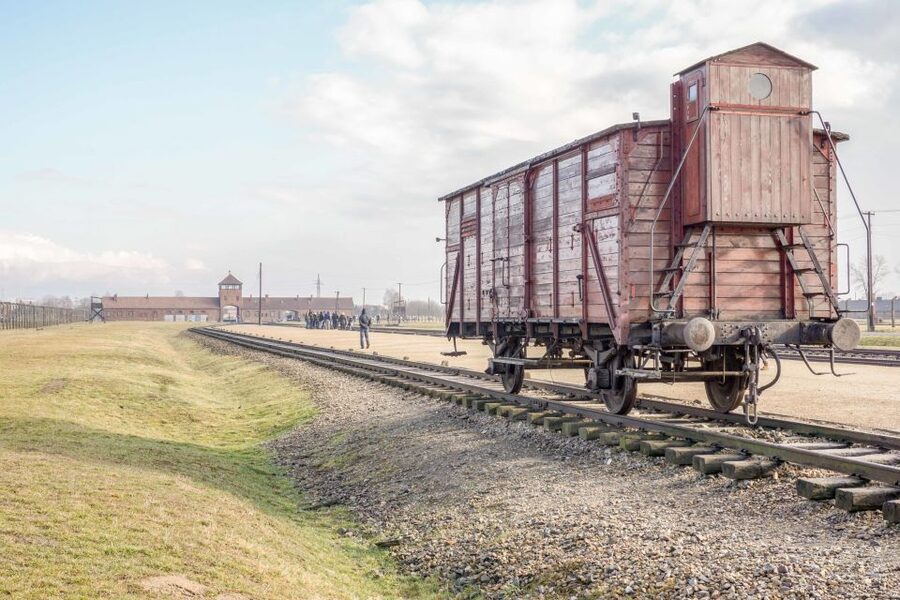 Krakow: Auschwitz Birkenau Museum Guided Tour with Pickup - What the guide adds to the visit