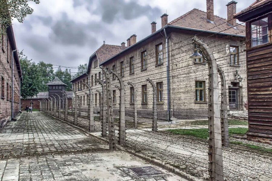 Krakow: Auschwitz Birkenau Museum Guided Tour with Pickup - Price, group size, and overall value