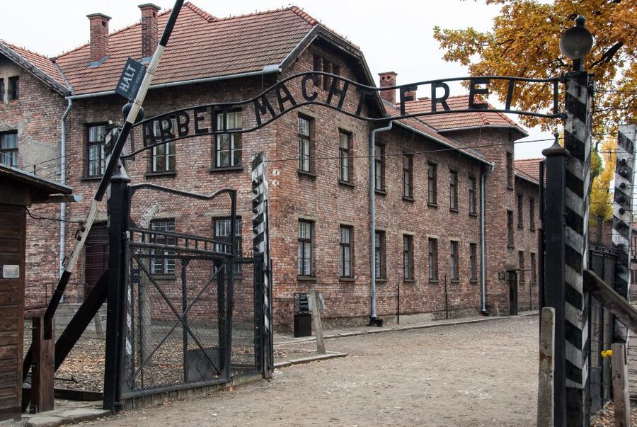 Krakow: Auschwitz Birkenau Museum Guided Tour with Pickup - What to bring, and what to leave behind