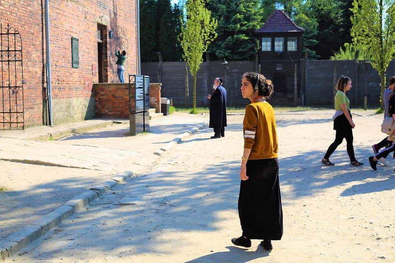 Krakow: Auschwitz-Birkenau Private Guided Tour - Transport, group size, and the real value of $670