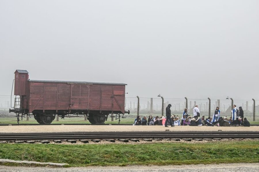 Kraków: Auschwitz-Birkenau & Salt Mine Full-Day Guided Tour - Small details that make the day better