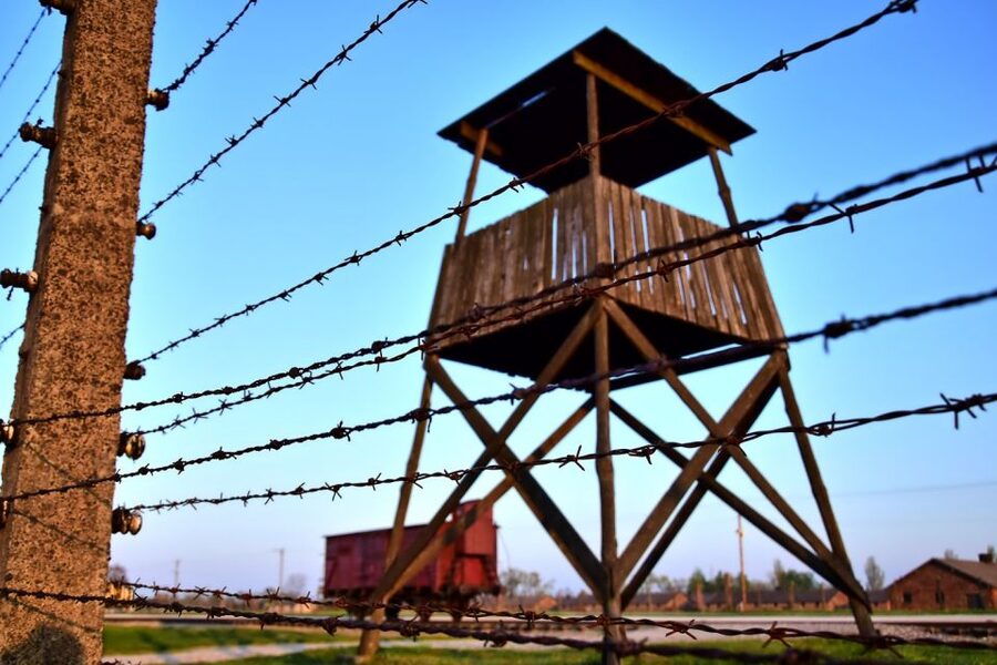 Kraków: Auschwitz-Birkenau & Salt Mine Full-Day Guided Tour - Timing, group movement, and comfort