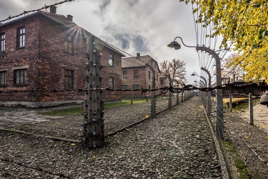 Kraków: Auschwitz-Birkenau & Salt Mine Full-Day Guided Tour - Who will get the most from this tour?