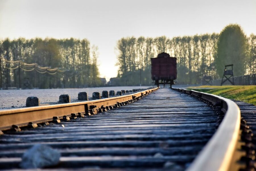 Kraków: Auschwitz-Birkenau & Salt Mine Full-Day Guided Tour - The early pickup from Kraków