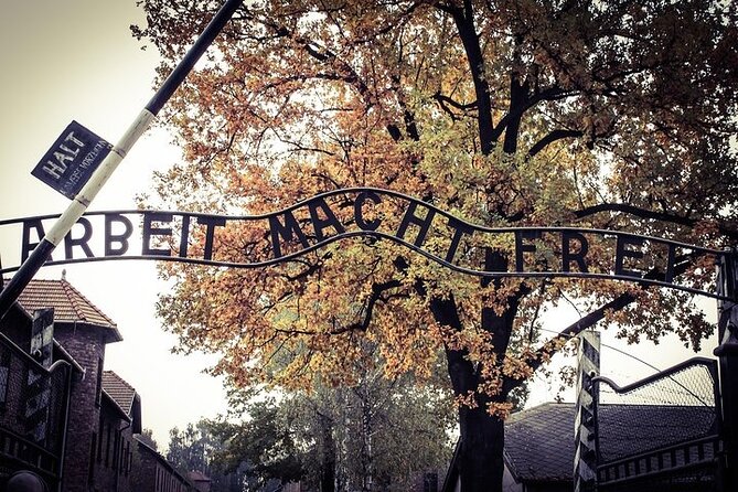 Krakow: Auschwitz-Birkenau Tour & Museum Expert Guide - Communication and guide quality