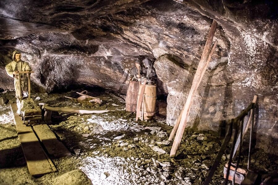 Krakow: Auschwitz-Birkenau & Wieliczka Salt Mine Day Tour - Is $142 good value?
