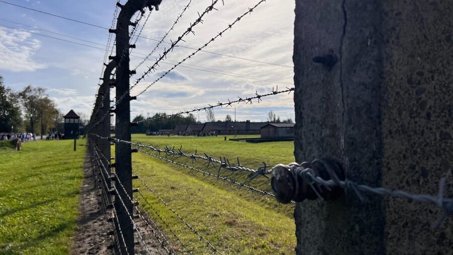 Krakow: Auschwitz-Birkenau & Wieliczka Salt Mine with Lunch - Transport, pickups, and the final drop-off